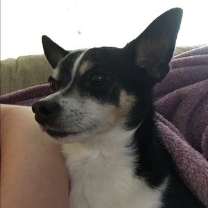 Meet your Posher, Christen